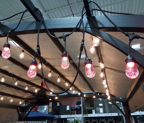 Décoration Rgb S14 Led Holiday String Light Pour une LED multicolore Fréquence 50Hz/60Hz