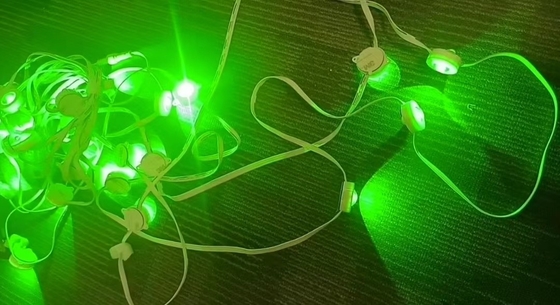 Lumières clignotantes LED Lumière suspendue à cordes Température de travail -30-50C Longueur 100M IP 65