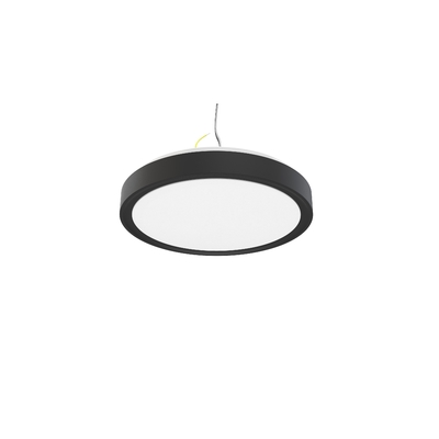 IP44 10 pouces 15W C1015 LED Single Ring Intégré Plafond de lumière pour et personnalisation