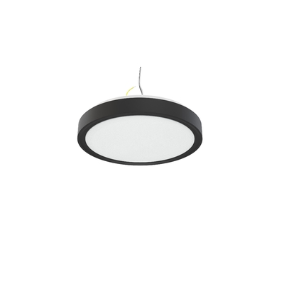 IP44 10 pouces 15W C1015 LED Single Ring Intégré Plafond de lumière pour et personnalisation
