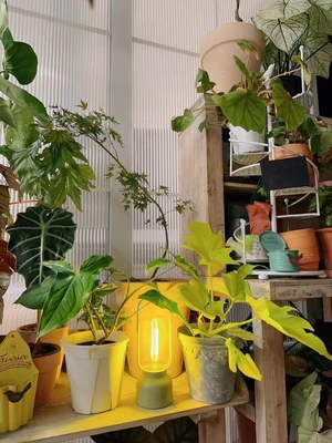 80 Ra Cadeaux artistiques Lumière anti-moustiques pour le festival de la lumière de nuit et lampe de table