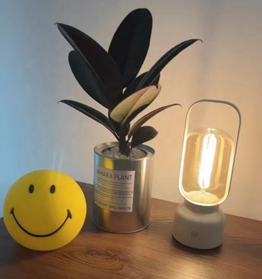 2700K Température de couleur Atmosphère Lumière de nuit pour lampe à main et moustiquaire