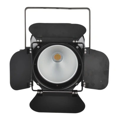 100-240V Voltage d'entrée Professionnel 200W COB LED PAR peut lumière pour la scène et DJ spectacles