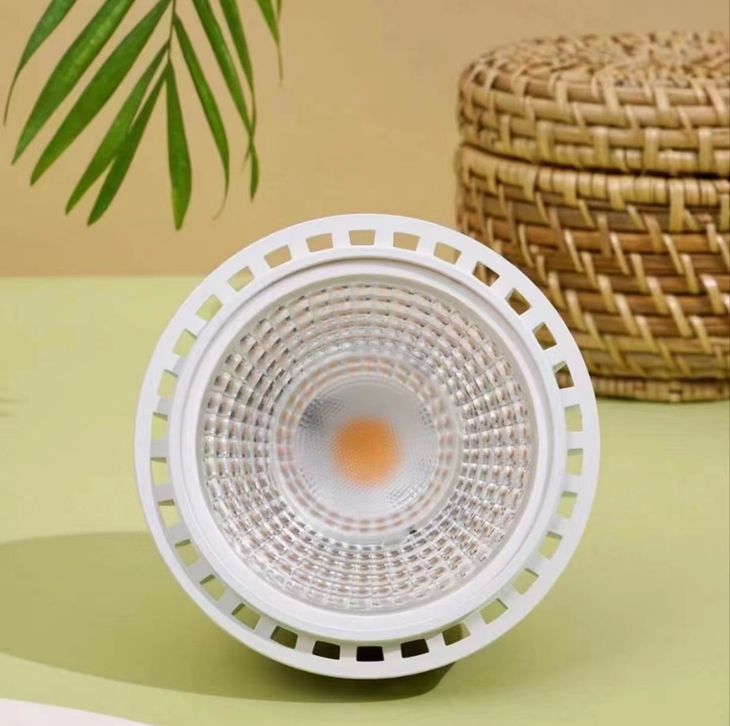 Éclairage de croissance des plantes LED 20W LEDPAR30 avec tension d'entrée 85V-265V et autre type de base