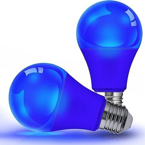 Bulbe LED bleue A19 9W E26 non obscurcissant pour l'éclairage de Noël extérieur et la conception de circuits